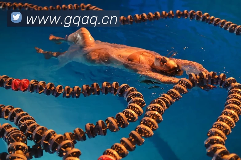 千亿官网 - 千亿(中国)一站式服务官网发展历程